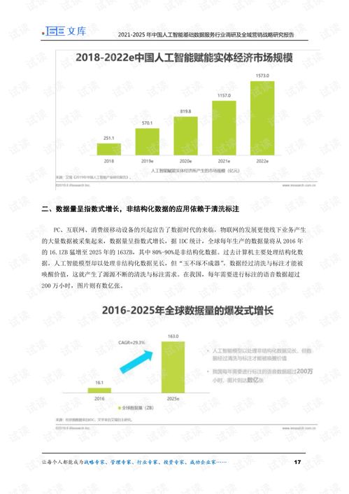 2021-2025年中國人工智能基礎數據服務行業調研與全域營銷戰略研究報告